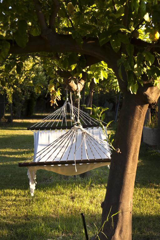 Agriturismo Terrenia Villa Trappitello Buitenkant foto